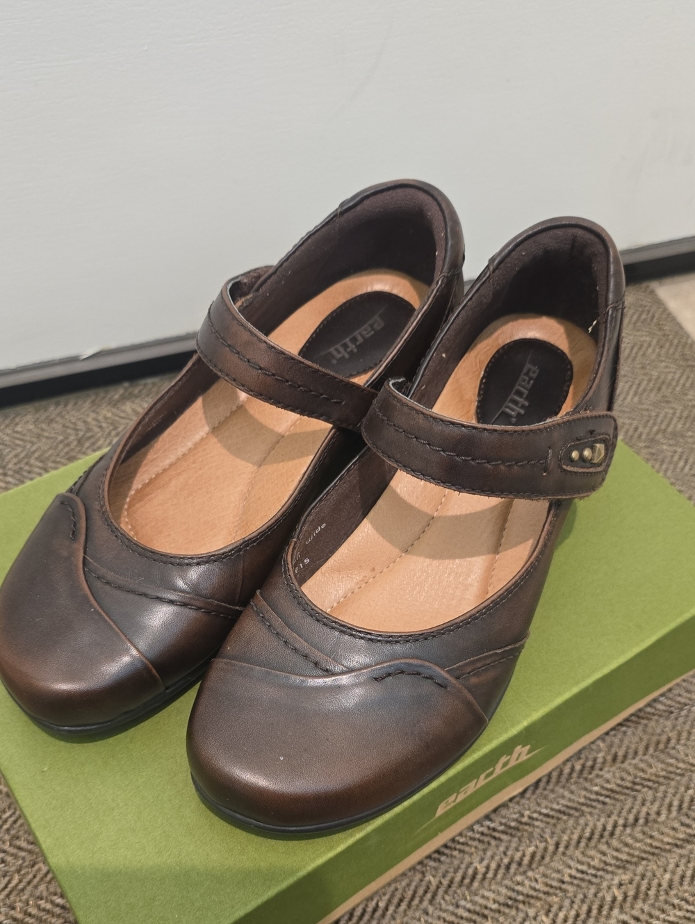Earth - Brown Mary Jane Low Block Heel